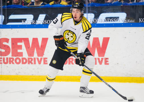 Brynäs Lucas Carlsson