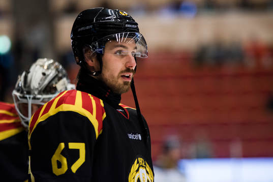 Brynäs Tomas Zaborsky före final 4 i SM-slutspelet i