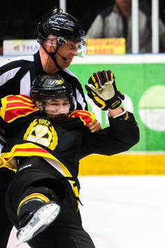 Domare Sören Persson drar omkull Brynäs Johan Alcén