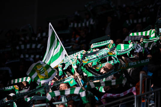 Hammarbys supportrar håller upp flaggor