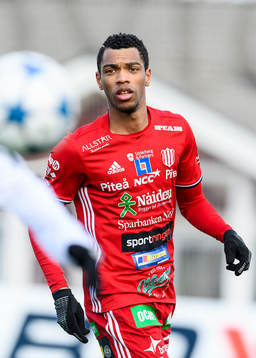 Piteås Kraig Rochester
