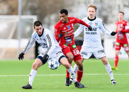 Piteås Kraig Rochester