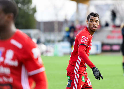 Piteås Kraig Rochester