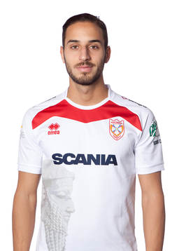 Assyriskas erido poli