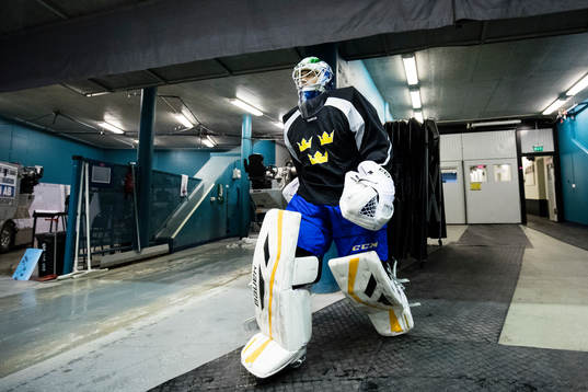 Sveriges målvakt Niklas Svedberg