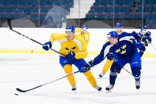 Sveriges John Klingberg och Calle Rosén