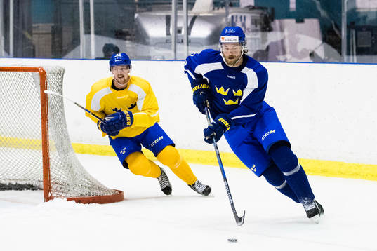 Sveriges Joakim Nordström och Victor Hedman