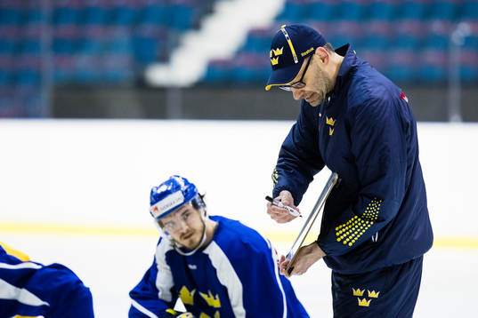 Sveriges assisterande tränare Peter Popovic