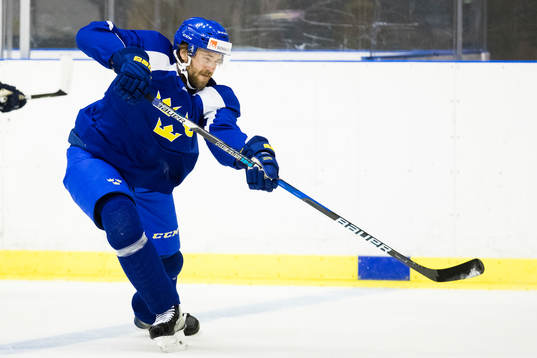 Sveriges Victor Hedman