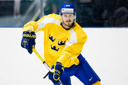 Sveriges Oliver Ekman Larsson