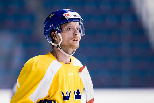 Sveriges Carl Klingberg
