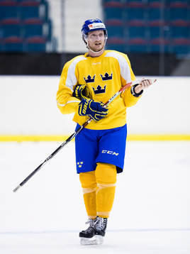 Sveriges Carl Klingberg