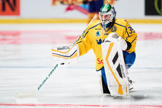 Sveriges målvakt Niklas Svedberg