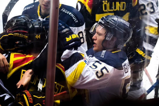 s Andreas Borgman
