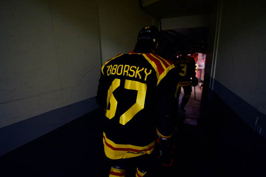 Brynäs Tomas Zaborsky