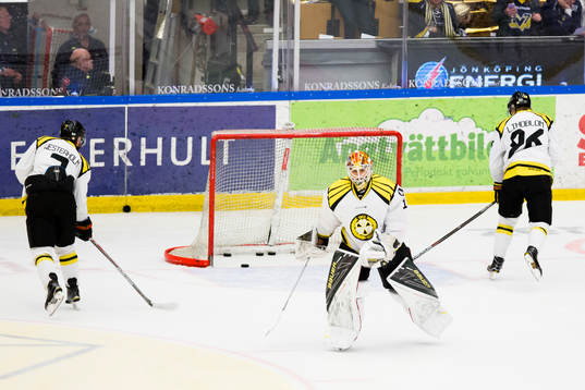 Brynäs målvakt Felix Sandström