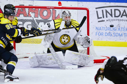 Brynäs målvakt David Rautio