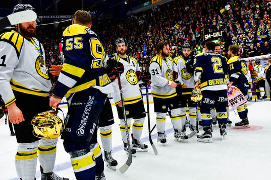 Brynäs spelare deppar