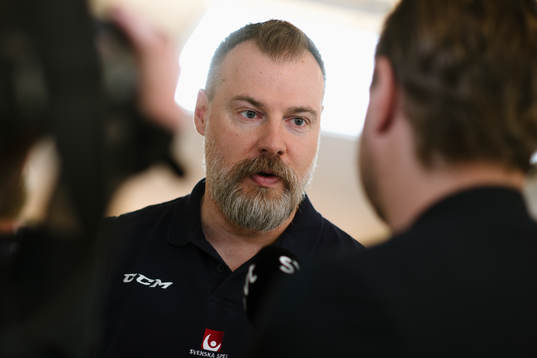 Förbundskapten Rikard Grönborg