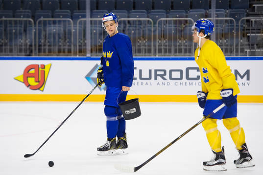 Joel Eriksson Ek och William Nylander