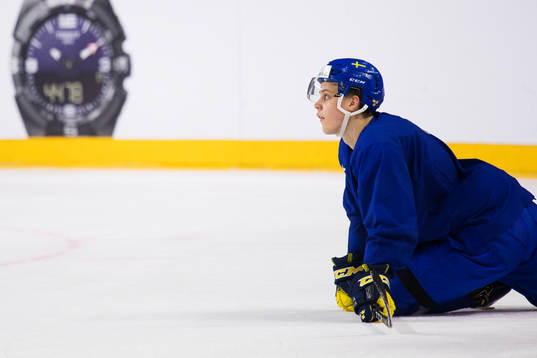 Joel Eriksson Ek