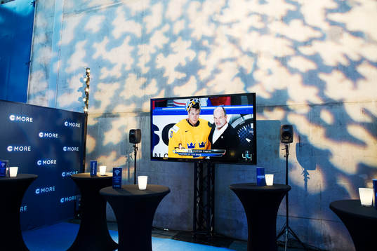 Sändning av Sveriges match ishockey-vm går