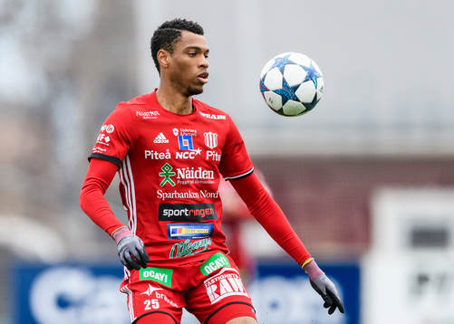Piteås Kraig Rochester
