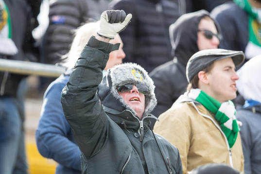 Hammarby supporter