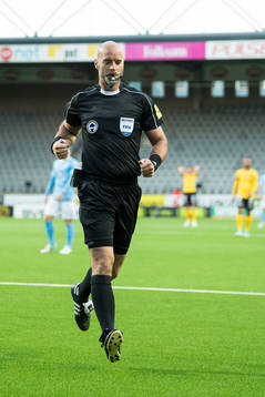 Domare Stefan Johannesson