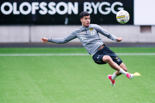 Rami Kaib