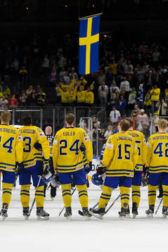 Sveriges spelare