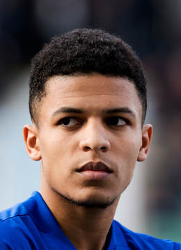 Sundsvalls Romain Gall