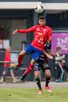 Höganäs Michael Babier