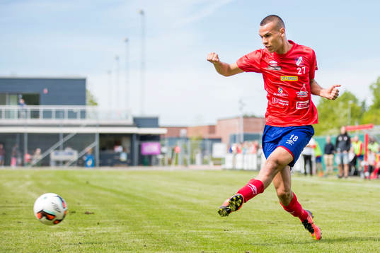 Höganäs Sumar Almadjed