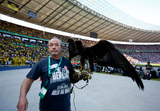 Fotboll, Tyska Cupen, Final, Eintracht Frankfurt - Borussia