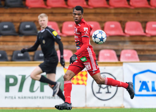 Piteås Kraig Rochester