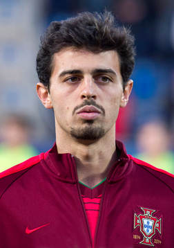 Bernardo Mota Veiga de Carvalho e Silva, Portugal