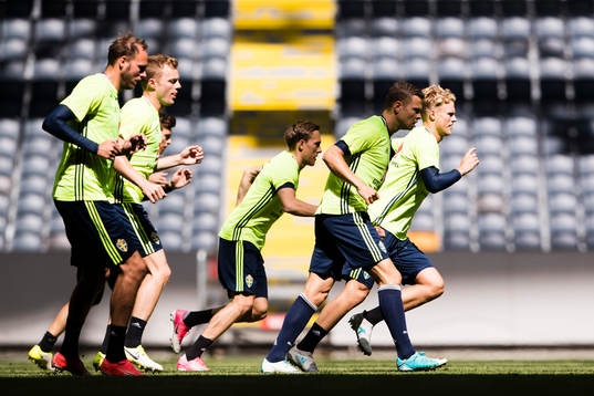 Sveriges Andreas Granqvist, Sebastian Larsson, Ludwig