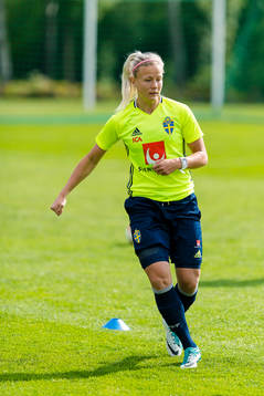 Sveriges Hanna Glas