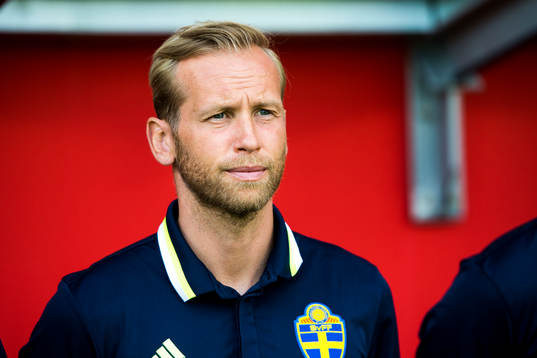 Naprapat Niklas Wallenholm