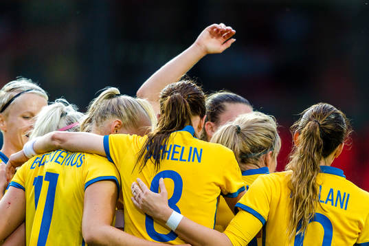 Sveriges spelare jublar