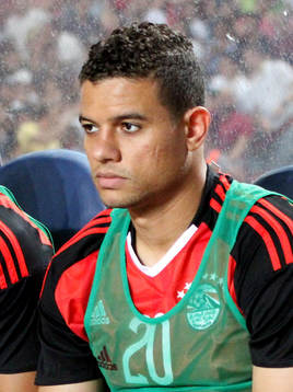 Saad Ali Saadeldin Samir