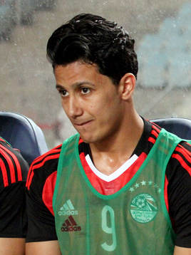 Amr Gamal Sayed Ahmed