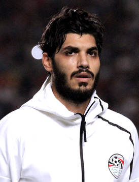 Aly Gabr Gabr Mosaad