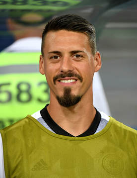 Sandro Wagner, Tyskland