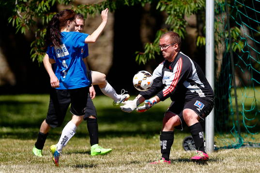 Uppvisningsmatch i fotboll