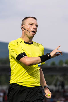 Domare Anatoliy Zhabchenko