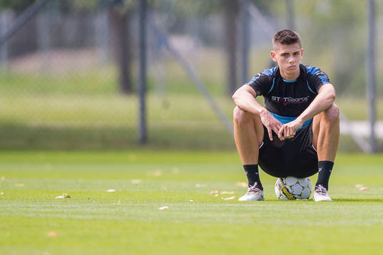 Malmö FFs Dennis Hadzikadunic