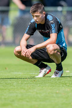 Malmö FFs Dennis Hadzikadunic