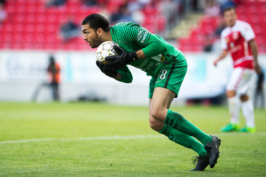 AFC Eskilstunas Målvakt Alireza Haghighi